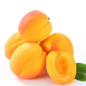 Apricot