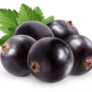 Black Currant