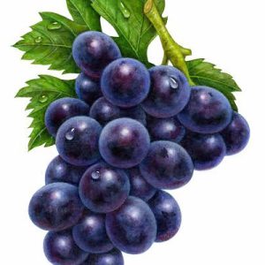 Black Grapes