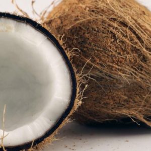 Coconut