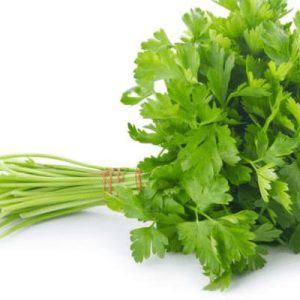 Corriander or Cilantro Leaves
