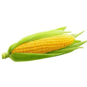 Corn
