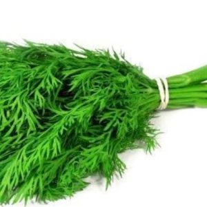 Dill Leaves