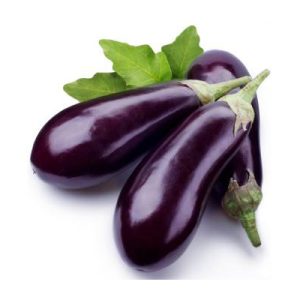 Egg Plant