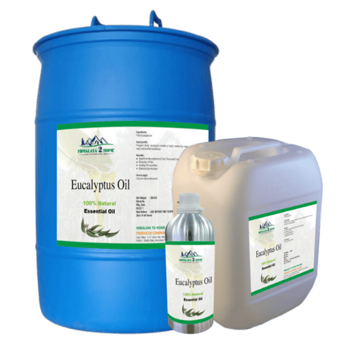 Eucalyptus Oil
