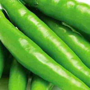 Green Chilli