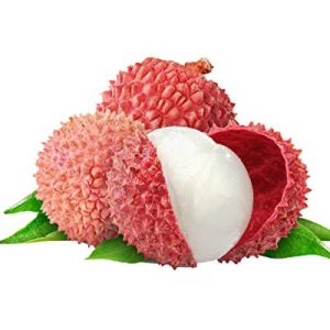 Litchi