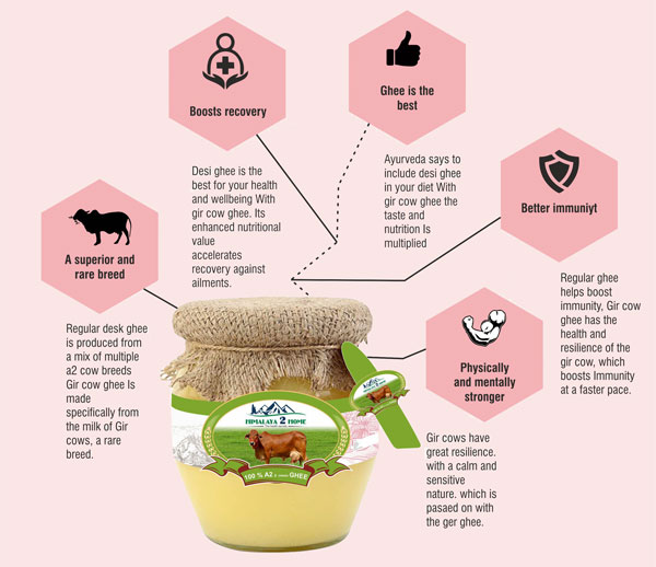 Organic Cow Ghee