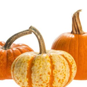 Pumpkin