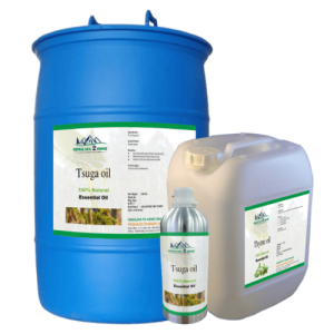 Tsuga Oil